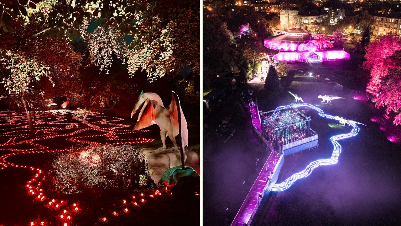 GlasGlow: First look at dinosaurs ‘stampeding’ into Glasgow Botanic Gardens for Halloween light show