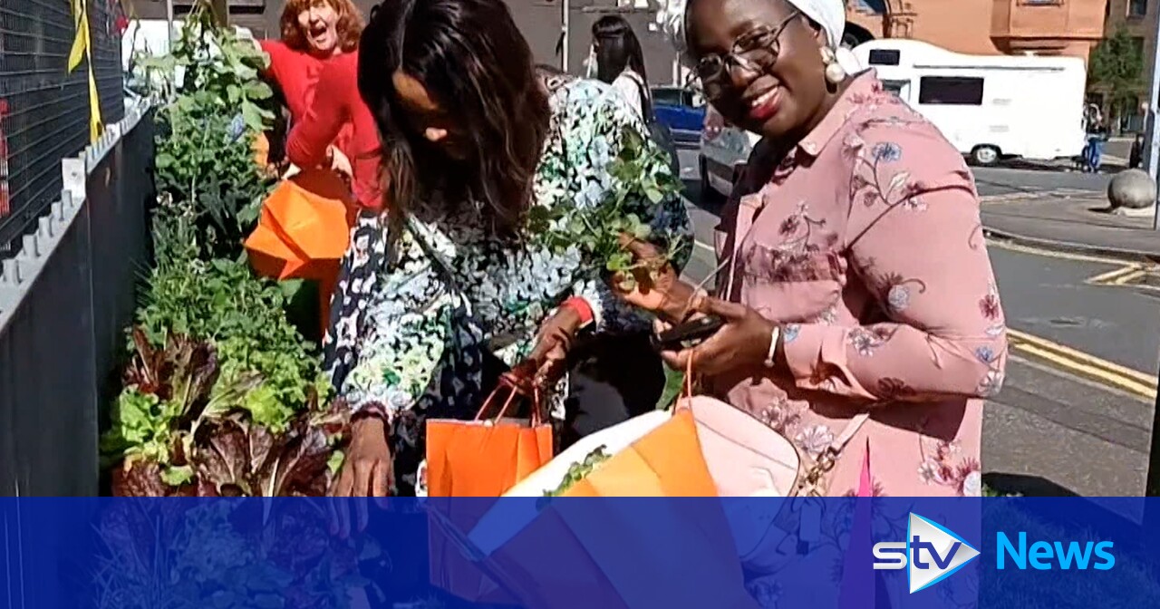 Migrant women living in Scotland are standing together in a hostile environment - Vimarsana News