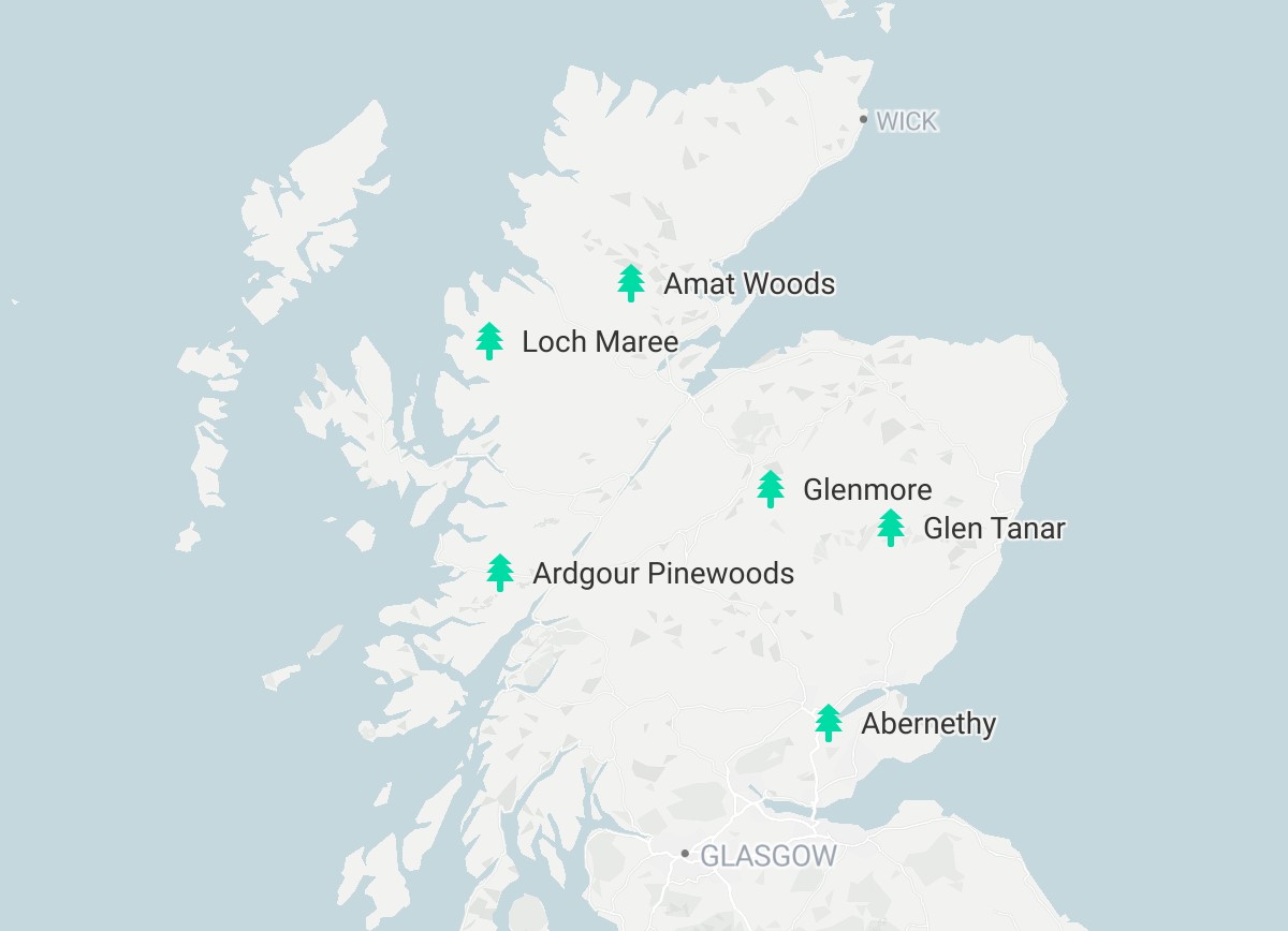 Locations of some of Scotland's remaining native pine woodland.
