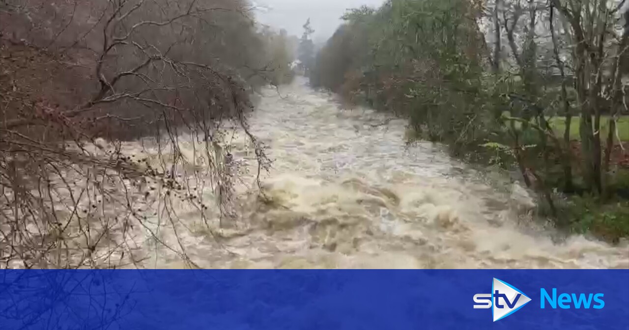 Search resumes for missing woman swept away while trying to rescue dog ...