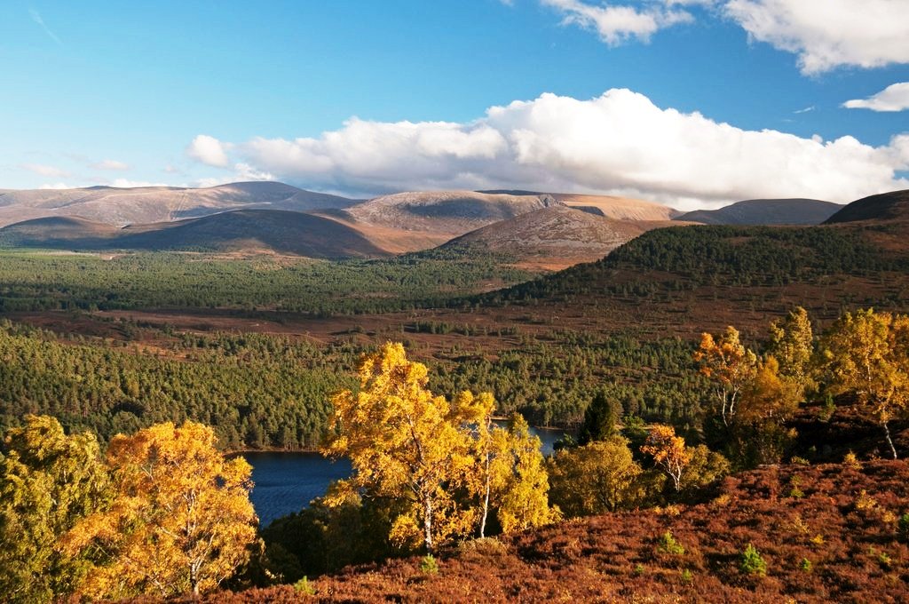 Rothiemurchus forest Loch an Eilein and Cairngorms-from Ord Ban Hill.