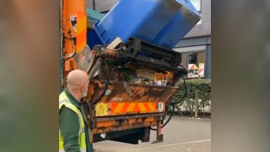 Rats leap from Glasgow bin lorries as refuse workers say city’s vermin ‘infestation’ is on the rise
