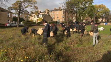 Wildflower garden at Morgan Academy to benefit more schools in Dundee