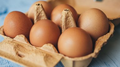 Tesco becomes latest supermarket to limit egg purchases amid supply woes