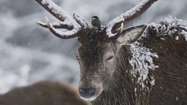 Yellow snow and ice weather warning extended until Sunday