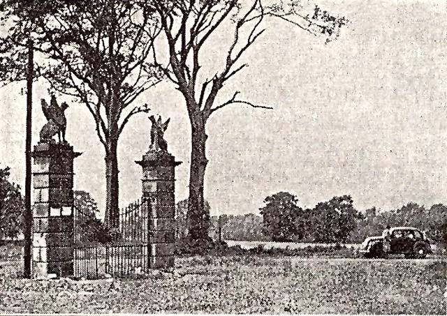 The 19th century Griffins previously surmounted ten-feet high gate posts on Marine Drive.