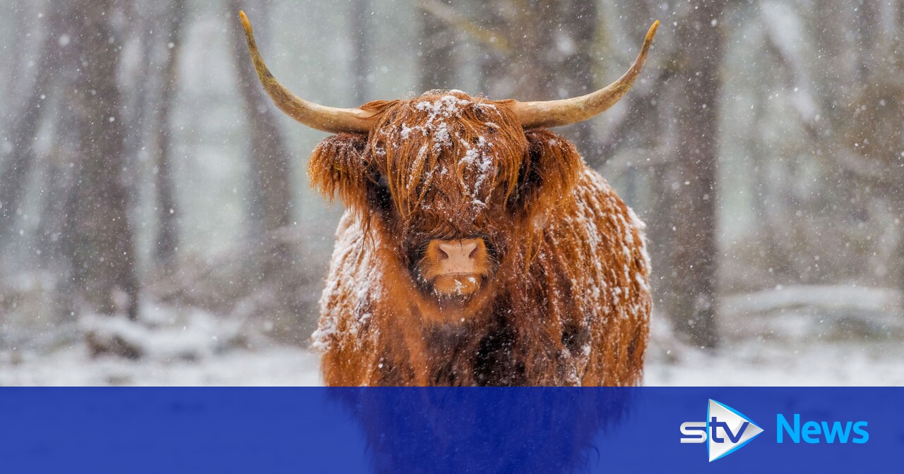 Snow And Ice Weather Warning: Blizzards And Freezing Cold Arctic Air ...