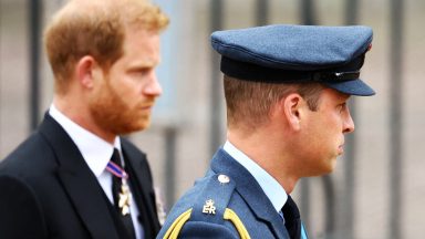 Prince Harry claims ‘lies’ were told to protect William in new Netflix trailer
