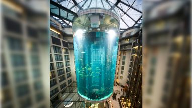 Huge fish tank at Berlin Sea Life aquarium bursts, causing wave of devastation