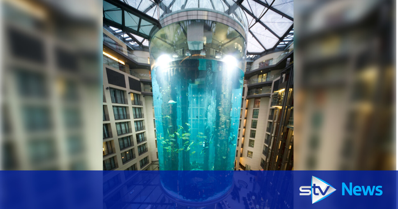 Huge Fish Tank At Berlin Sea Life Aquarium Bursts, Causing Wave Of ...