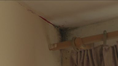 Couple told council unable to afford mould damage repairs