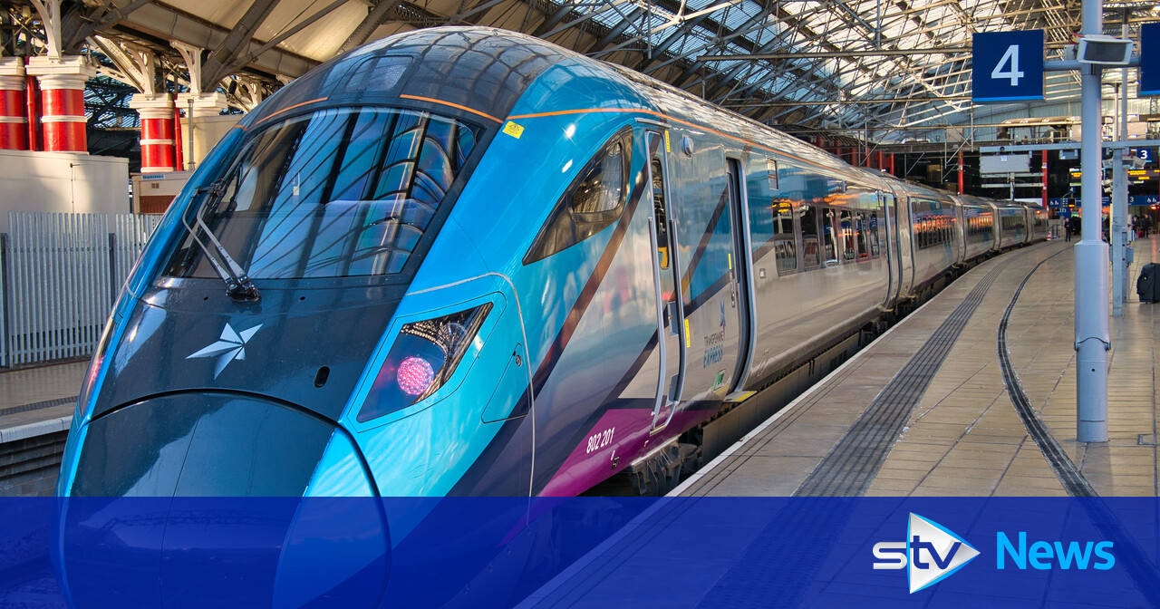 'Do not travel' warning issued after tree falls on line