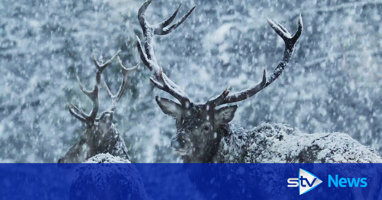 Coldest January night in Scotland in 15 years as temperatures plummet to -18.9C in Altnaharra