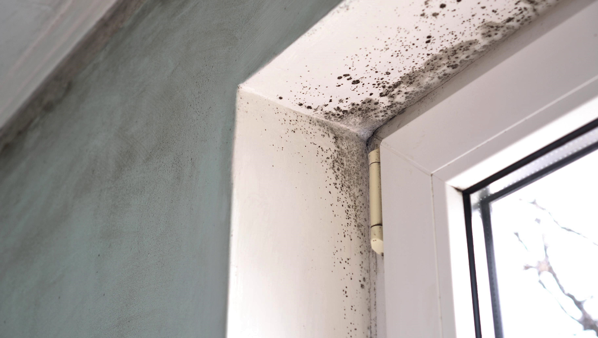 Scottish homes ‘cut back’ on ventilation despite risks of mould, according to Opinium
