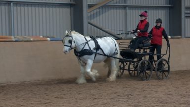 Aberdeenshire woman who suffered stroke set for carriage-driving world championships