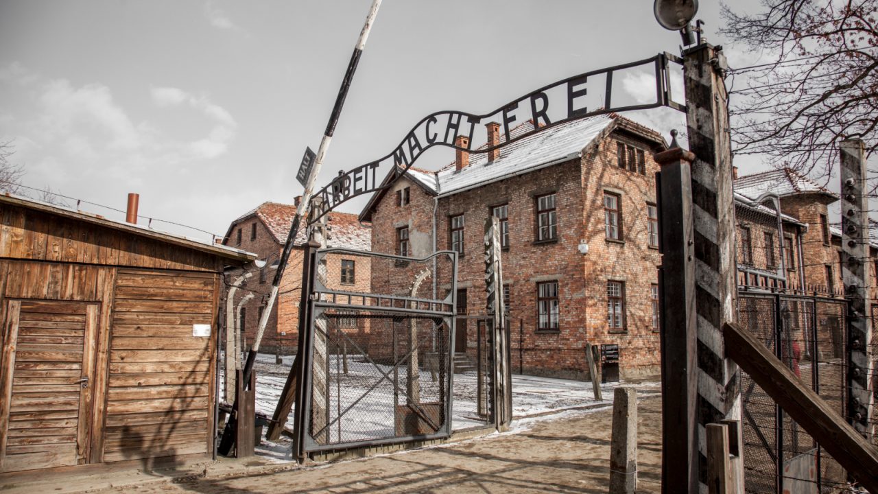 Auschwitz anniversary marked while survivors warn of rise in antisemitism on Holocaust Memorial Day