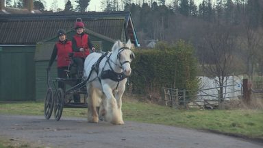 Aberdeenshire woman in running to join Carriage Driving Para team