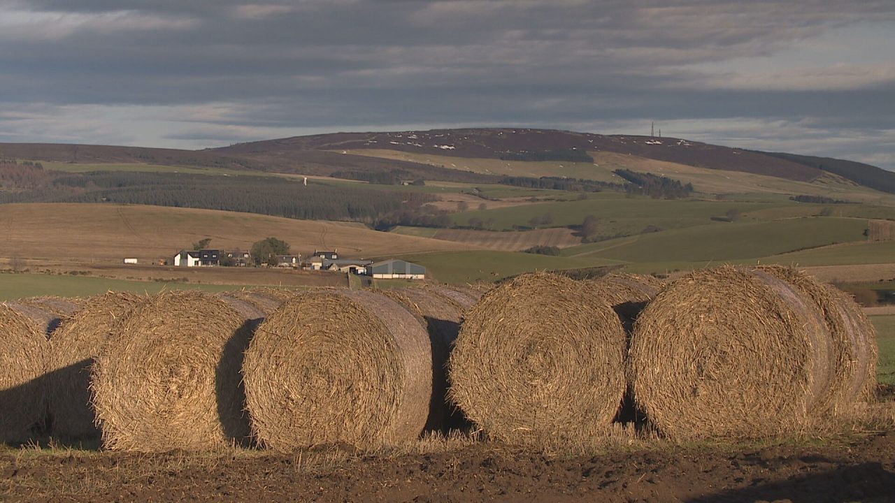 Four hay bales are seen in a field