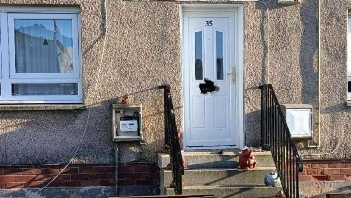 Japanese Akita cross Angel went viral across social media when stunned locals snapped the pooch popping its head through the middle of a chewed door on Croftangry Road, Kelty on Thursday morning.