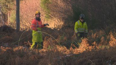 Power companies say action taken after Storm Arwen