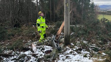 Homes finally have power restored after Storm Otto cut off supply