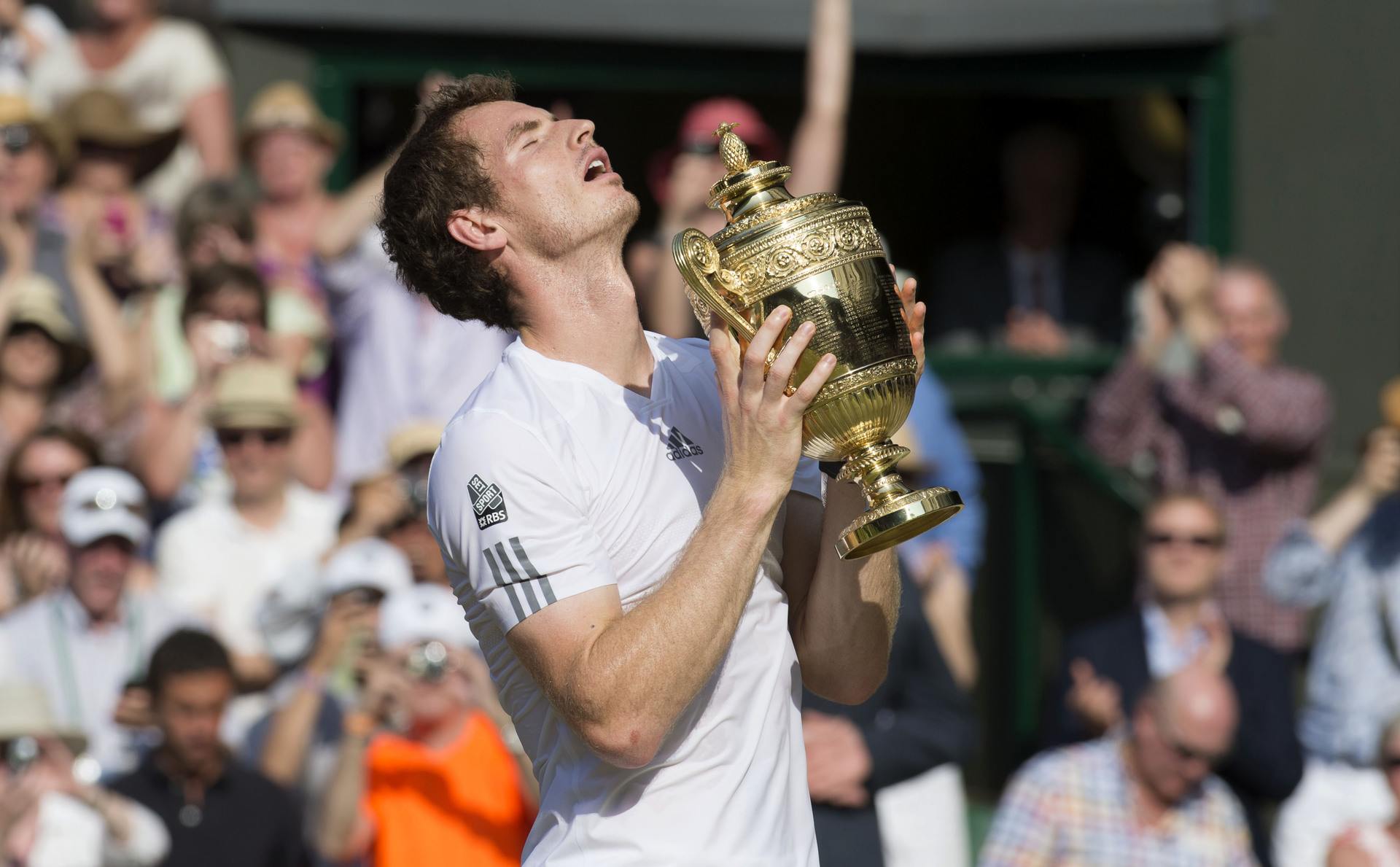 Sheer delight on the face of Andy Murray after clinching a straight sets victory over Novak Djokovic to win Wimbledon.