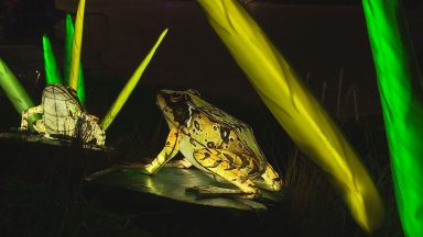 Scotland’s biggest light festival returns to Aberdeen