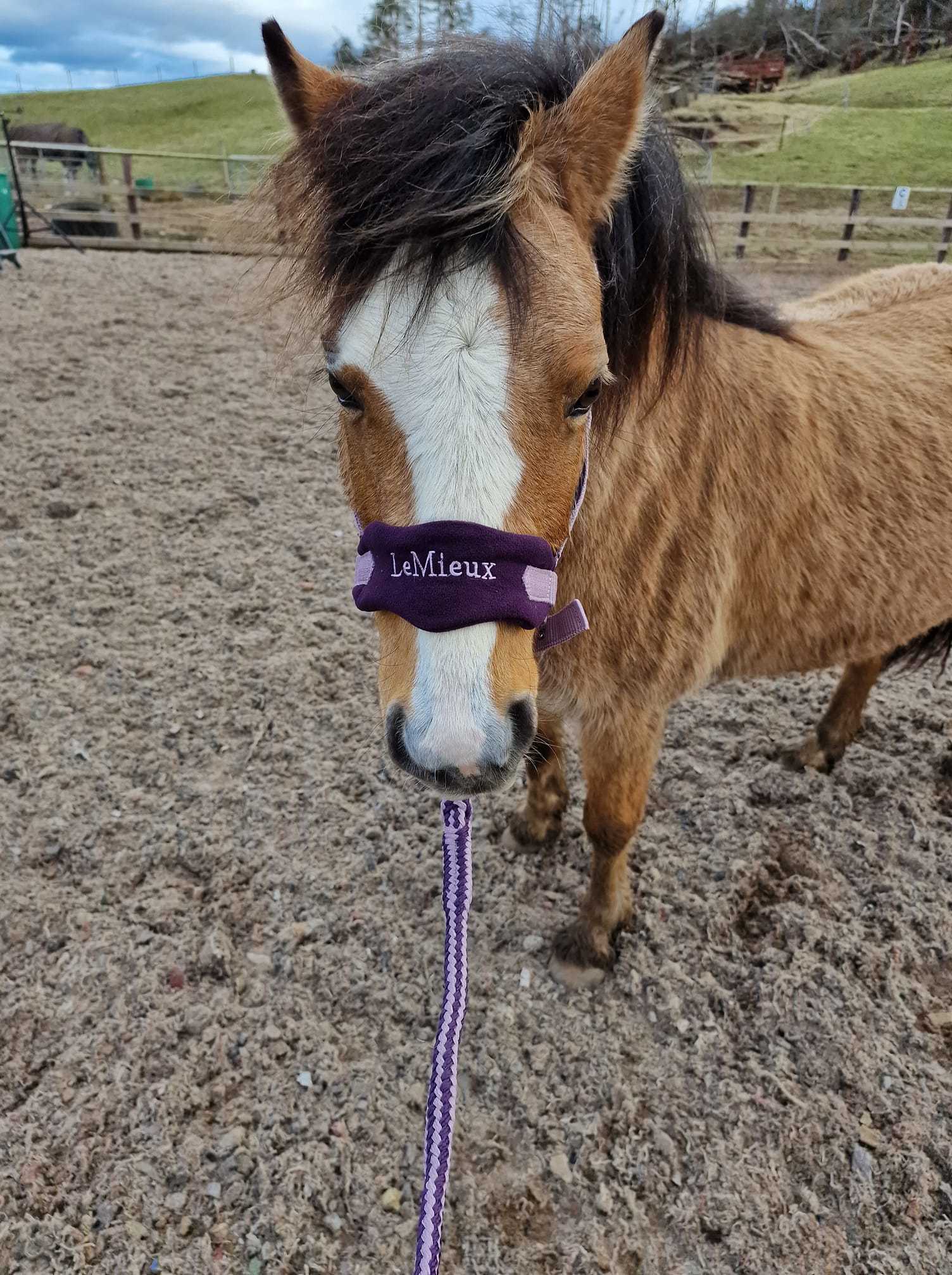 Pumpkin and her wind swept look