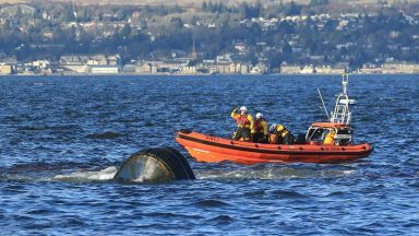 Major rescue operation as tugboat capsizes in River Clyde near Greenock
