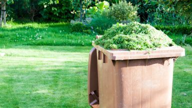 Controversial garden waste uplift fee comes into force in West Lothian