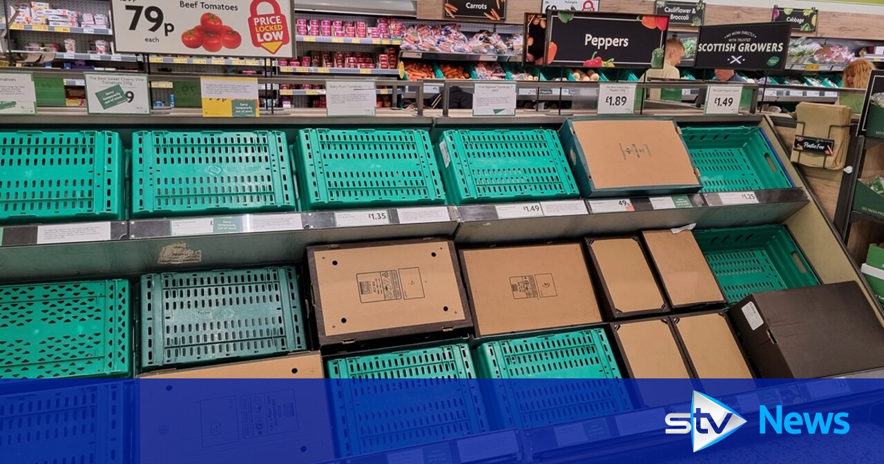 Why is there a shortage of tomatoes on supermarket shelves? STV News