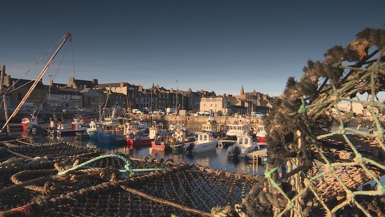 Scottish Conservatives call for MSPs to scrap tighter marine protection proposals