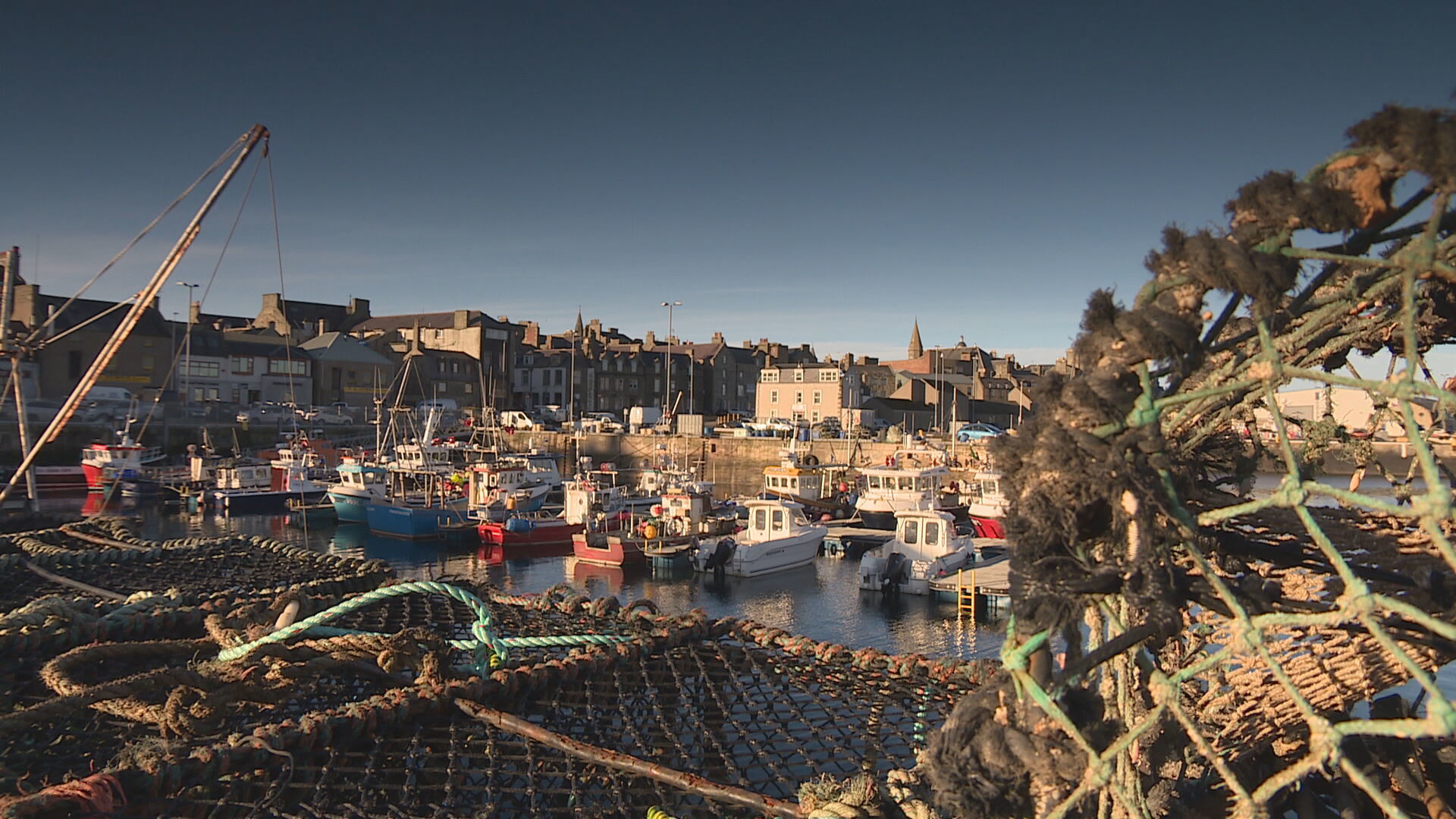The Scottish Government says the fishing ban will help conserve ecosystems in Scotland's seas.