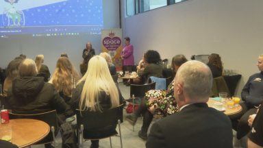 Healthy relationships campaign seeks to set up safe spaces