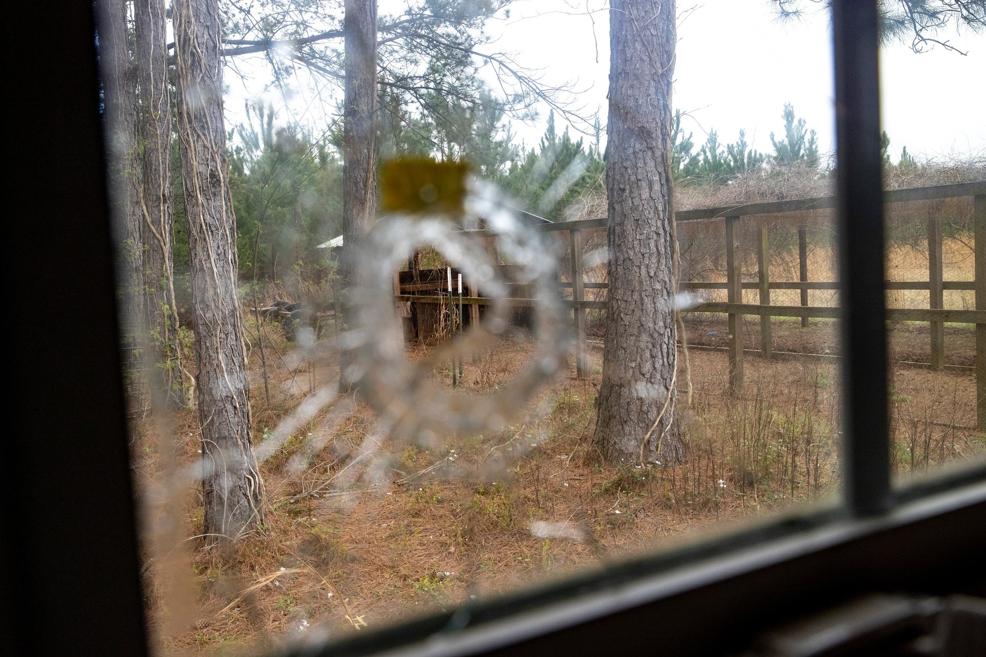 A bullet hole is seen from inside of the feed room at the Murdaugh Moselle property.