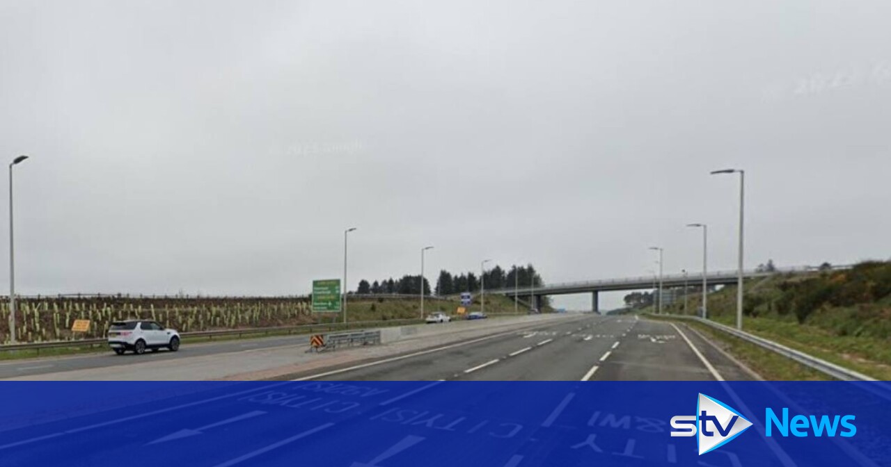 Pedestrian dies after being hit by vehicle in early morning crash on ...