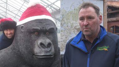 Owner of gorilla statue named Gary pleads for safe return after heist at Reynard Nursery, Carluke