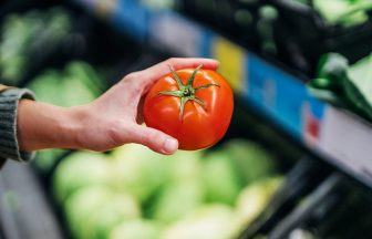 Fresh food prices ‘helped retail inflation slow down in August’ but costs still rising