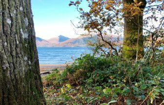 Stunning views of Loch Lomond and the Trossachs National Park ‘spoiled by poo’