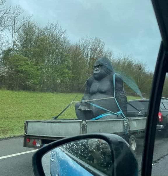 Gary's lookalike was spotted barrelling down the M40. 