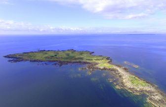 Global interest in uninhabited Barlocco island near Dumfries and Galloway as sale goes to closing date
