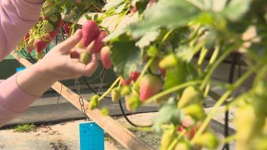 Migrant workers vital to food and farming says report