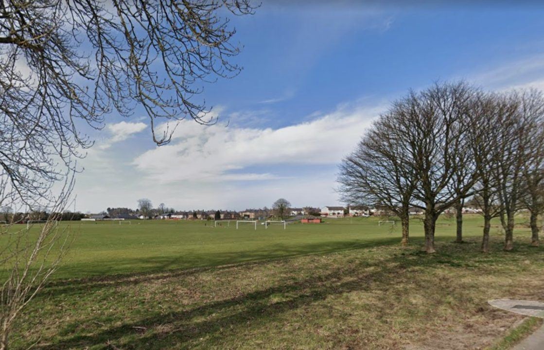 Child, 6, left injured after being bitten on the face by dog at Holm Park in Dumfries