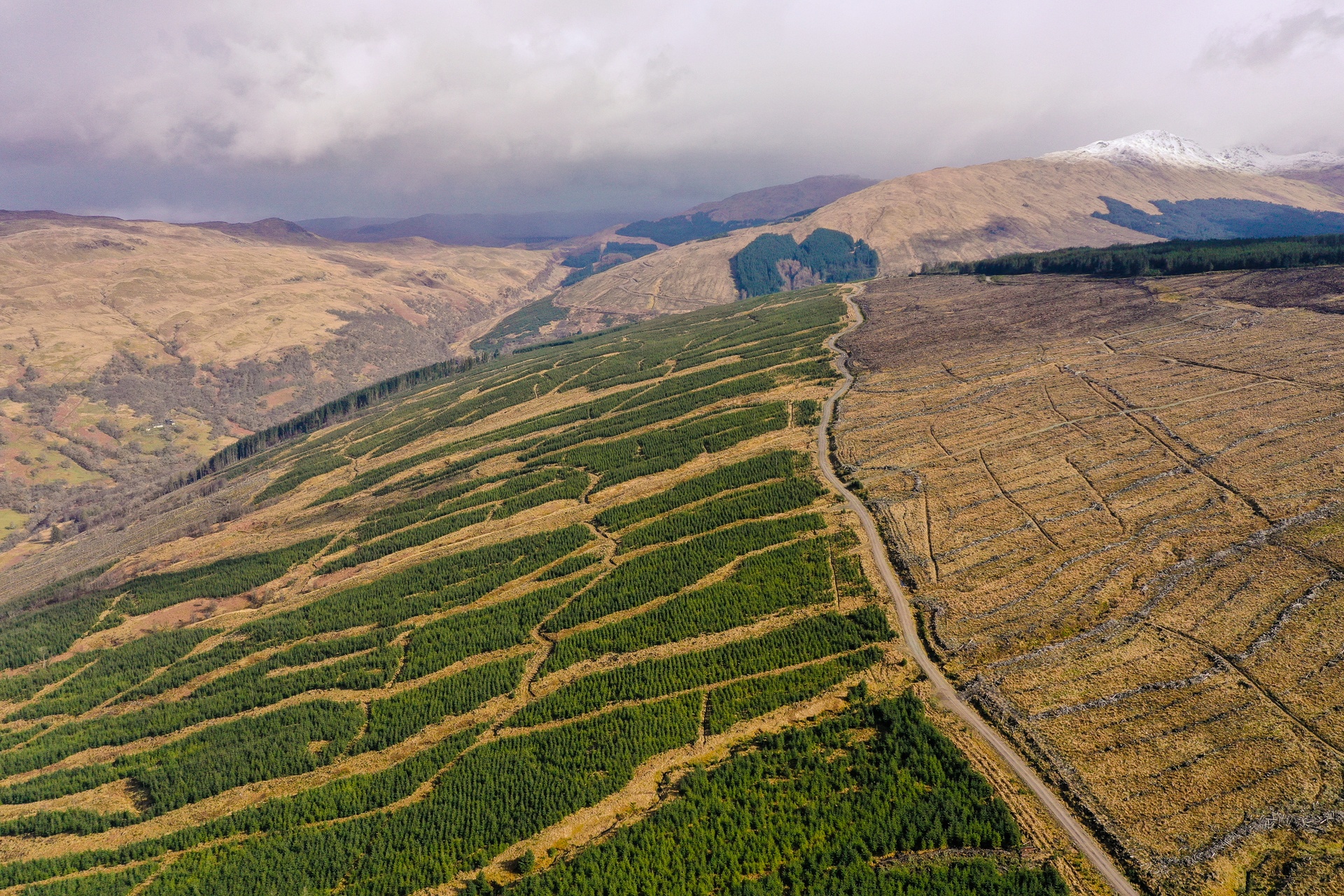 Glen Shira is a Sitka spruce plantation established in the 1970s near the northern shore of Loch Fyne.