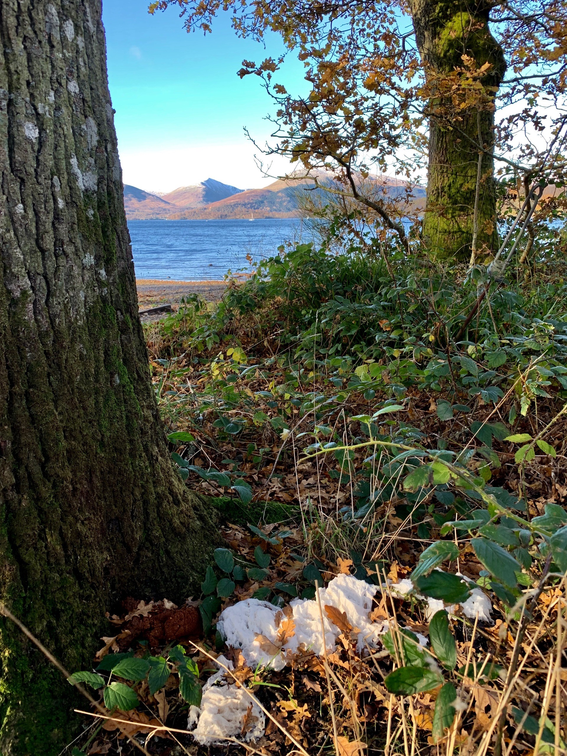 Loch Lomond and The Trossachs National Park authorities issued the plea and shared a beautiful image from the bonnie banks - but with an unwelcome addition in the foreground.