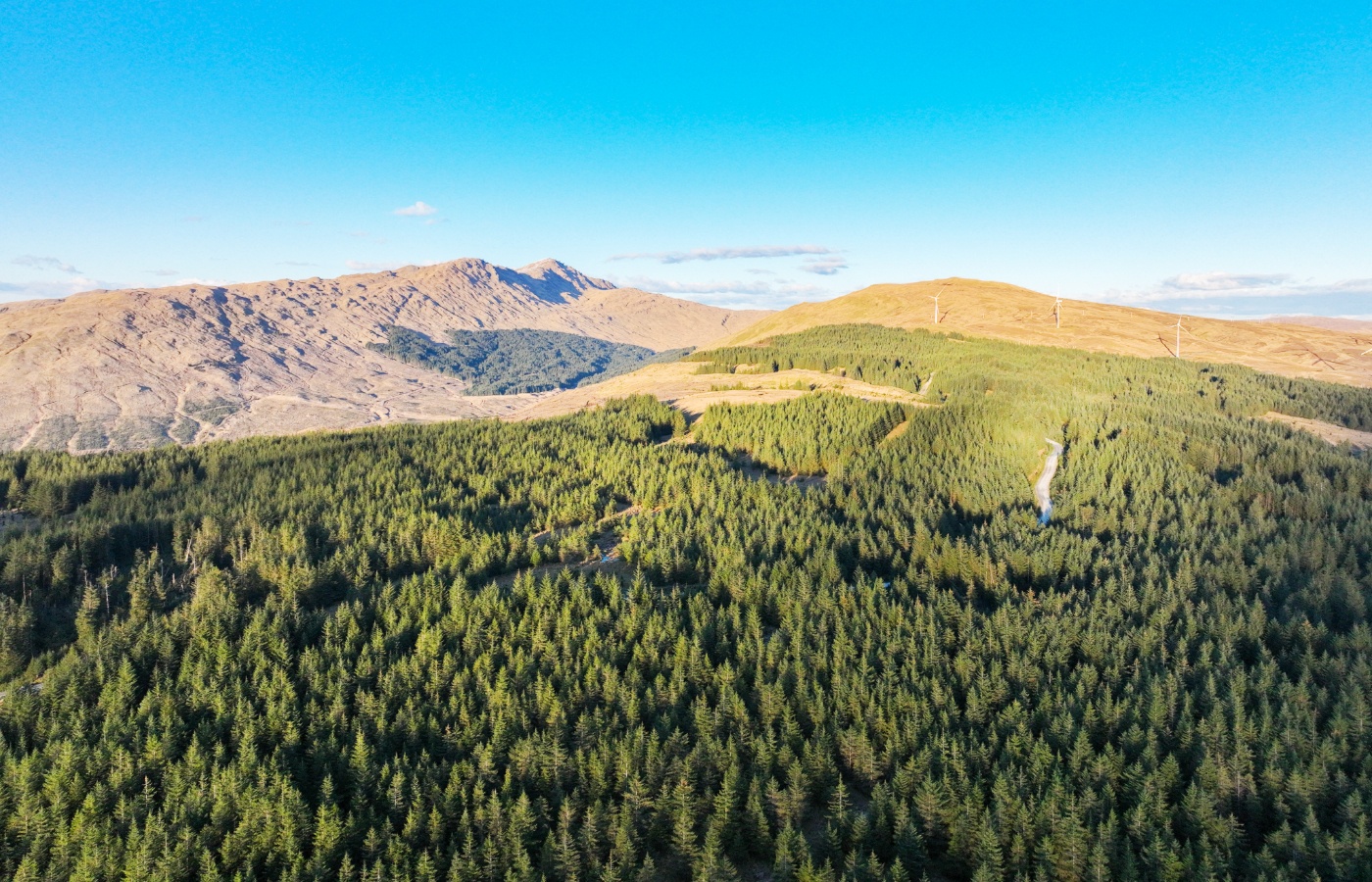 Glen Shira is a Sitka spruce plantation established in the 1970s near the northern shore of Loch Fyne.