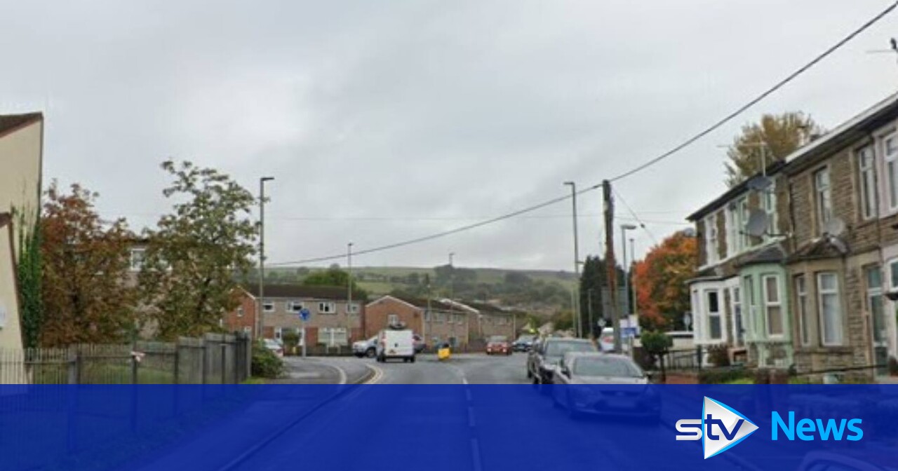 Dog seized after attacking fivemonthold baby in Caerphilly, Wales STV News