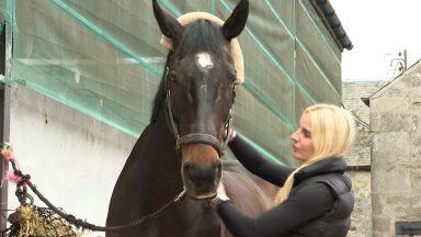 Former racehorses retrained in new disciplines celebrated in parade at Scottish Grand National