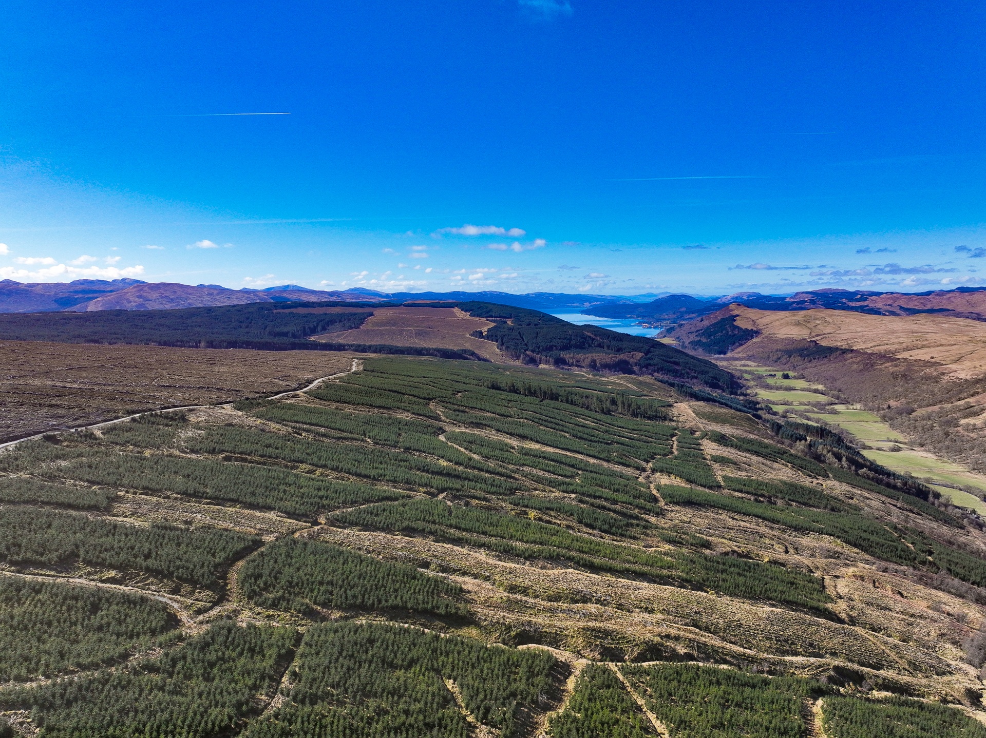 The sale covers 4,064 acres of stunning, sloping land and an existing lease for a further 801 acres north of Loch Fyne.