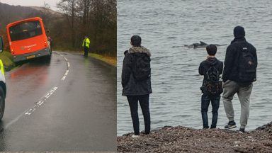Passengers involved in bus crash near water on the Isle of Arran discovered admiring dolphins by police